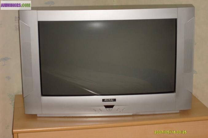TELEVISEUR BLUESKY