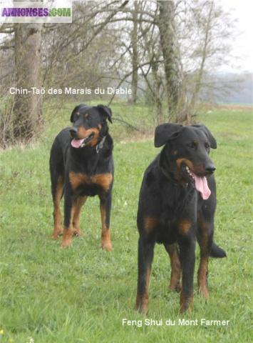 Portée LOF à venir fin décembre