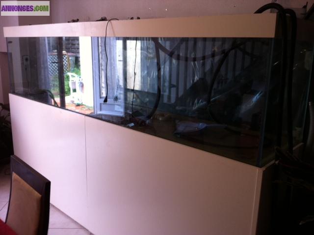 Aquarium eau de mer récifal 1240L + decantation + support