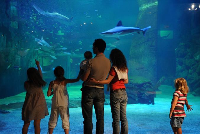 4 billets adultes pour Seaquarium Grau-du-Roi