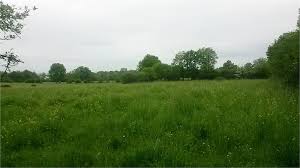 Terrains constructible