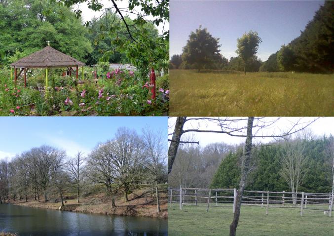 Propriété sur 8 ha avec maison ossature bois