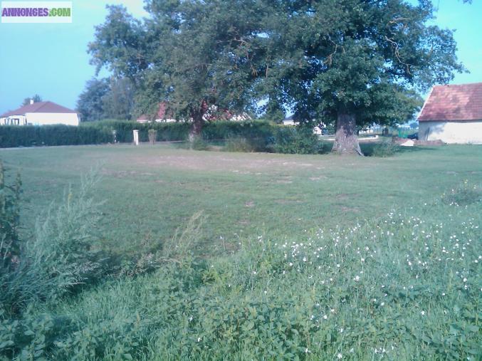 Terrain constructible entre 770 et 1665 m²