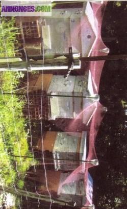 Filets de pêche en stock