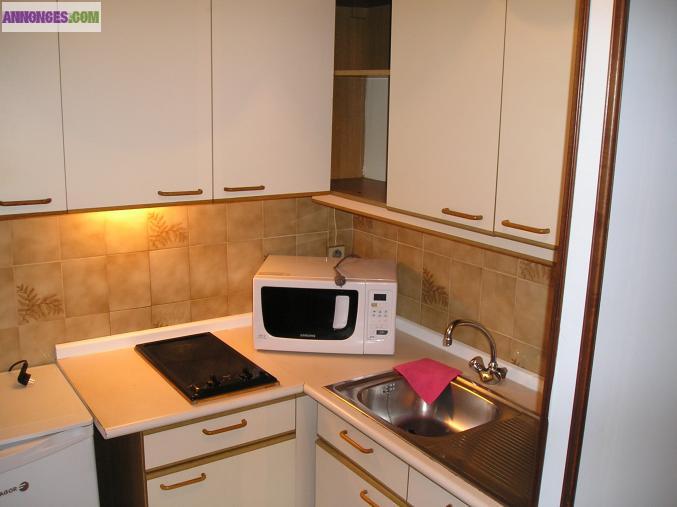 A L'ANNEE STUDIO MEUBLE - DISPONIBLE IMMEDIATEMENT