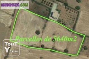 Terrain de 5640m2 au village de Chtouka ait baha