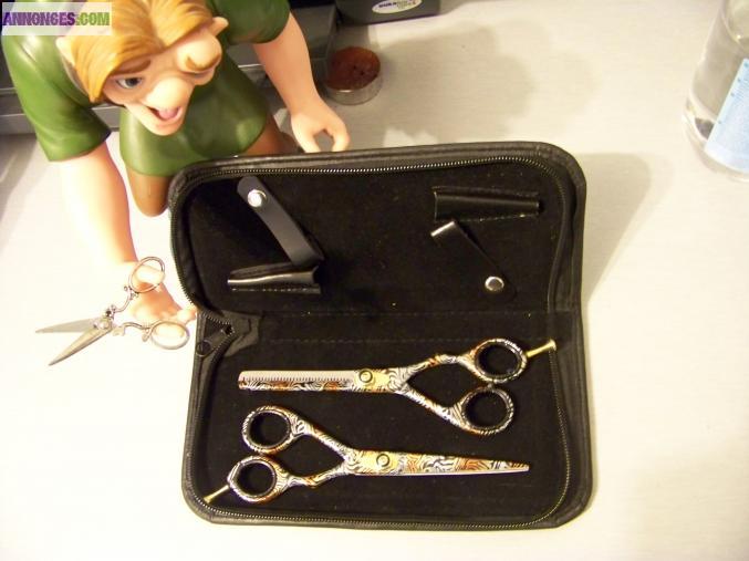 Ciseaux coiffure professionnel neuf