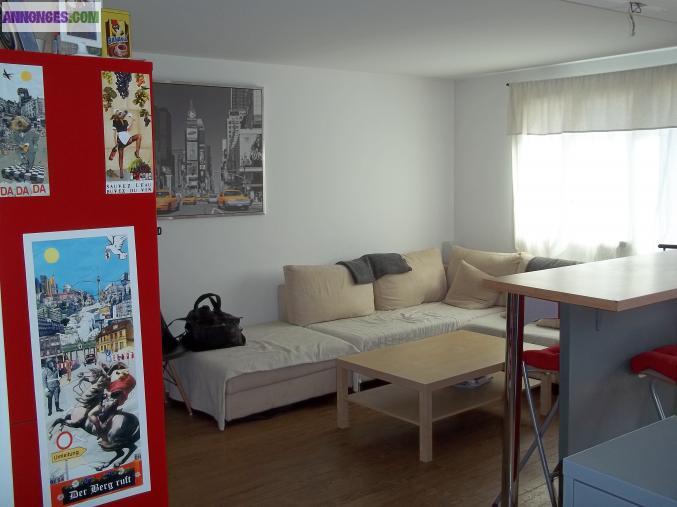 GRENOBLE T2 49 M²