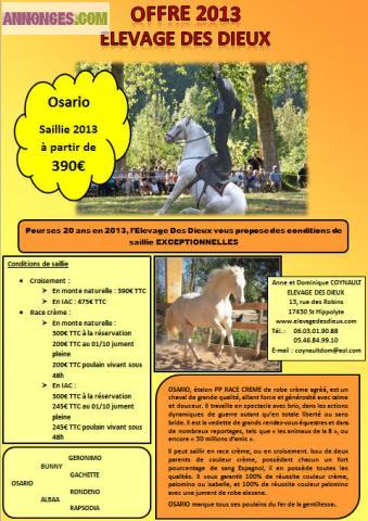 Cheval, saillie 2013 OSARIO PP RACE CREME de robe crème à partir de 390€