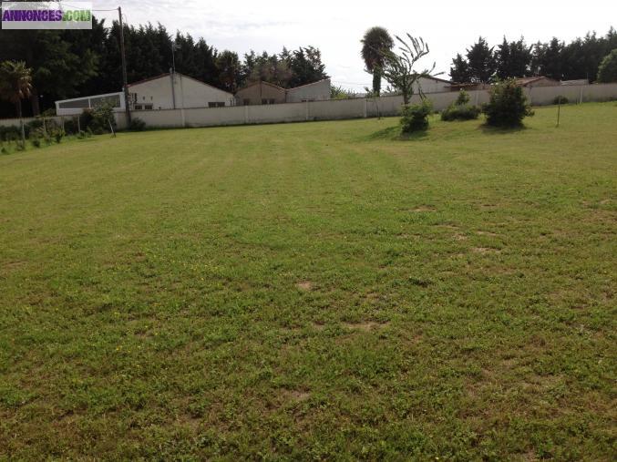 Terrains abatir avec cu