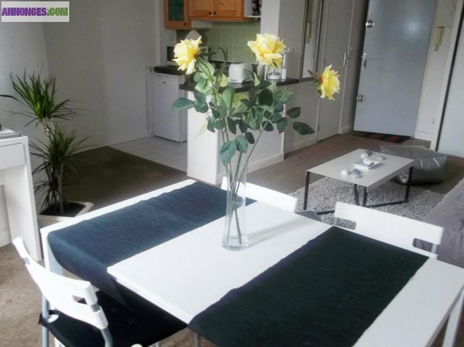 STUDIO T1 BIS PLEIN CENTRE TOULOUSE TRES SPACIEUX