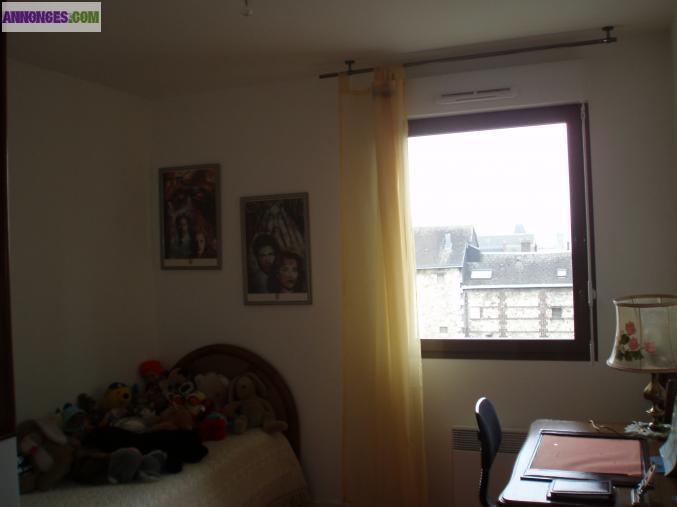 Vends appartement F3 66,80m² quartier gare de Rouen