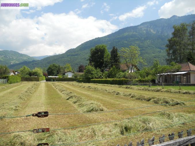 Terrain constructible à vendre à Bex.