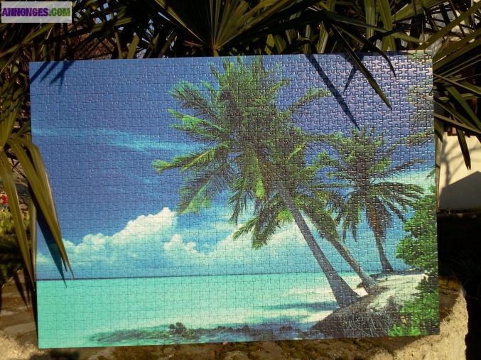 Puzzle "beauté des îles"