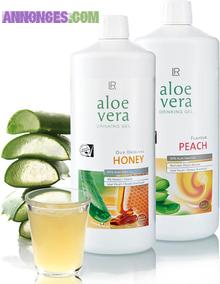 Nutriconsulting Alain Jouanjan