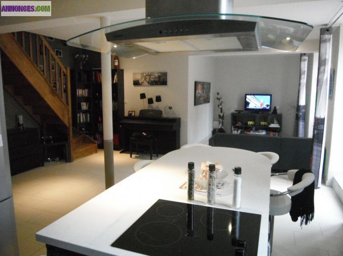 T3 duplex avec cour et terasse