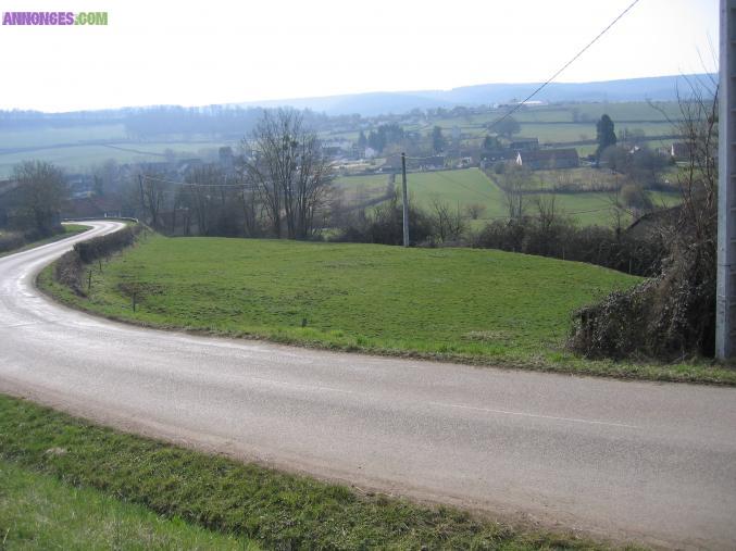 TERRAIN CONSTRUCTIBLE CU DELIVRE