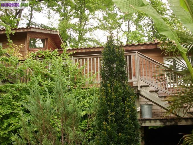 A VENDRE MAISON OSSATURE BOIS