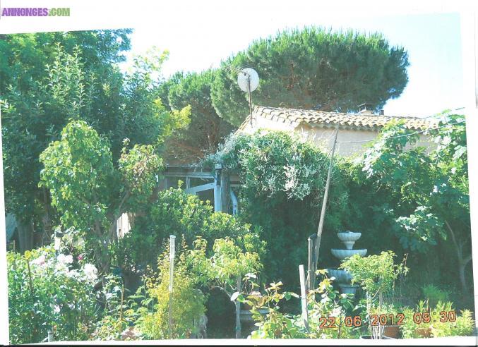 En  viager  occuper    petit   mazet    vigneron