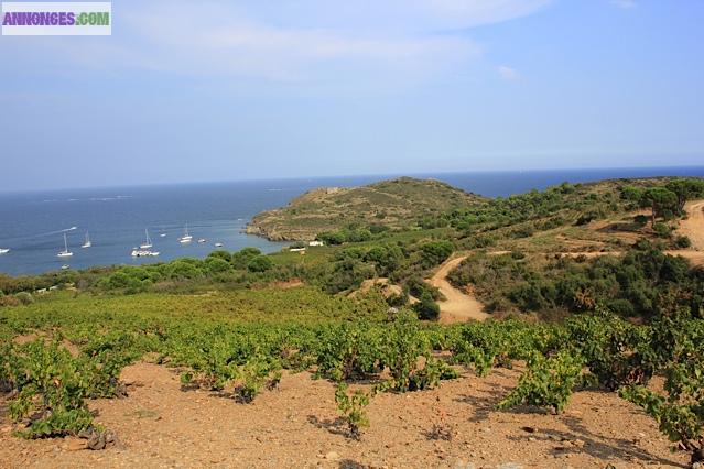 Beau terrain et cabanon proche mer et Banyuls (66)