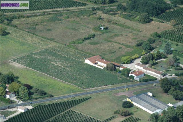 Propriété au coeur du médoc