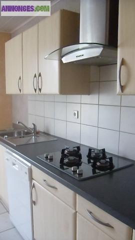 F4 tournon sur libre janvier 2013