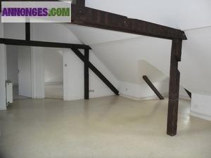 JEUNES COUPLE LOUE T3 Sélestat