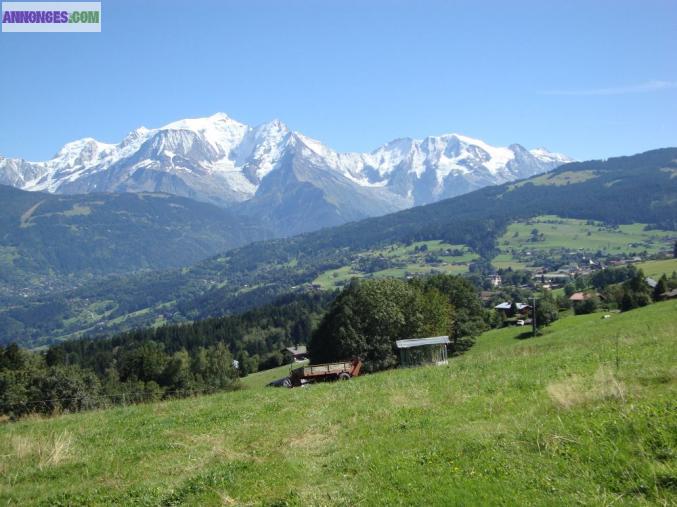 Vend terrain avec permis pour 4 chalets sur Combloux