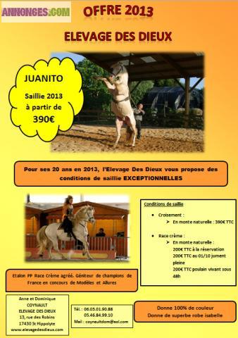 Cheval, saillie 2013 JUANITO PP RACE CREME de robe crème à partir de 390€