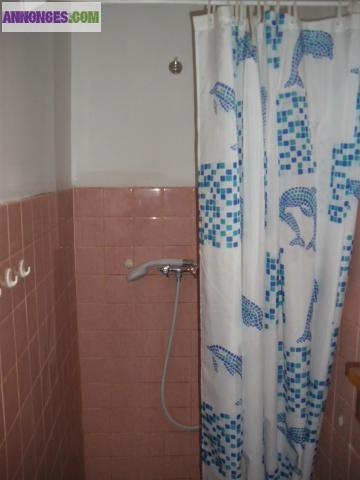 Maison de ville avec jardin