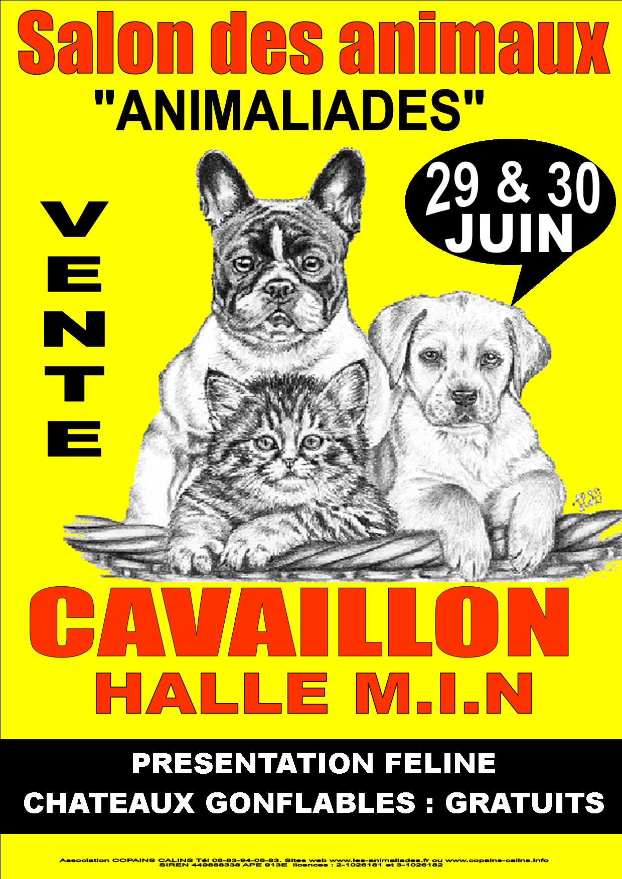 Salont du chiot et du chaton 29 et 30 Juin cavaillon