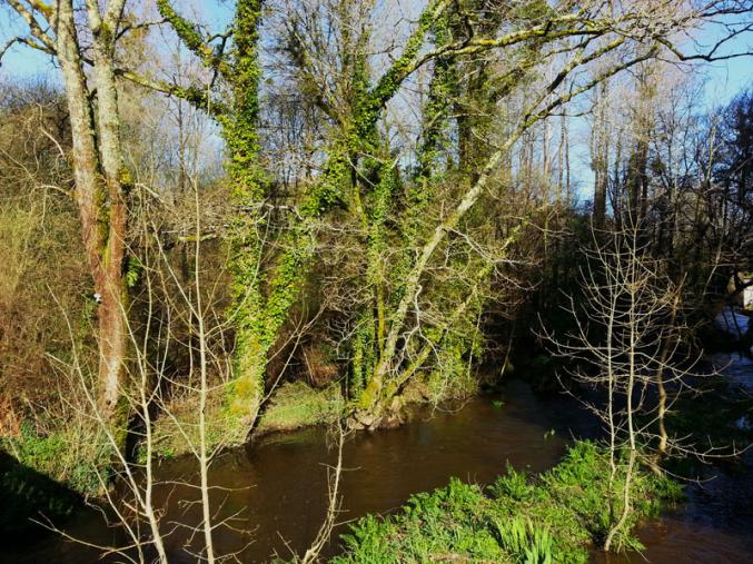 Le calme au bord de l'eau