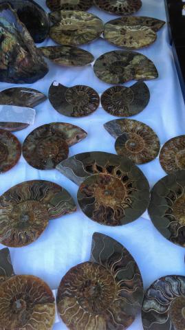 Lot des pierres labradorite