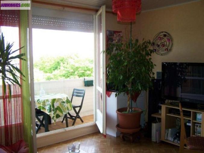 Locations Charmante appartement à Bourges (18000)