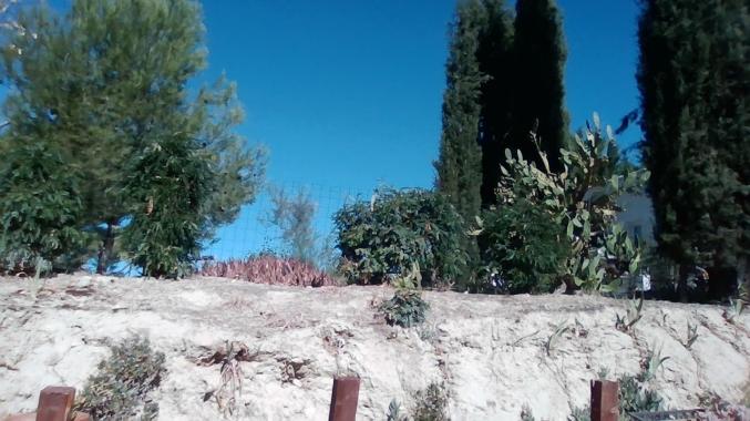 Location d'un terrain