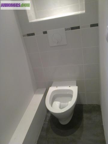 TRAVAUX DE RENOVATION