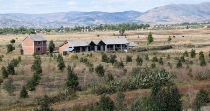A VENDRE TRÈS BEAU TERRAIN AGRICOLE  AVEC DES PLANTS DE RAVINTSARA, MATÉRIELS DE DISTILLERIE ET FERME