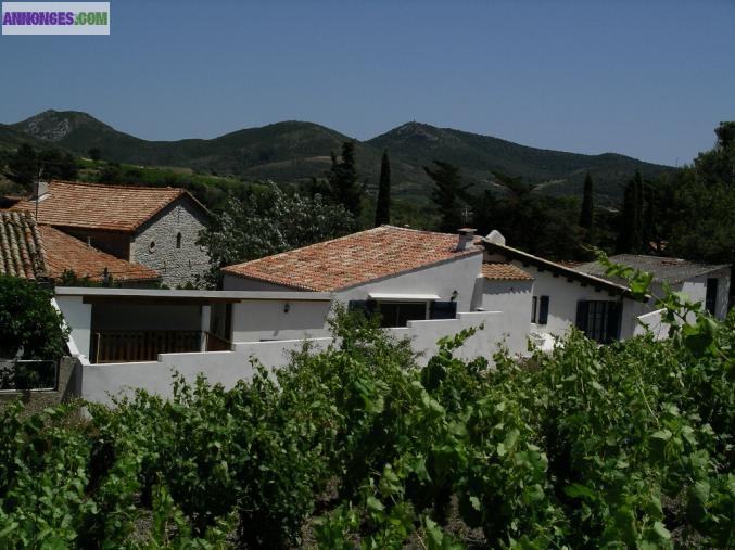 Maison 12 personnes maxi avec piscine privative