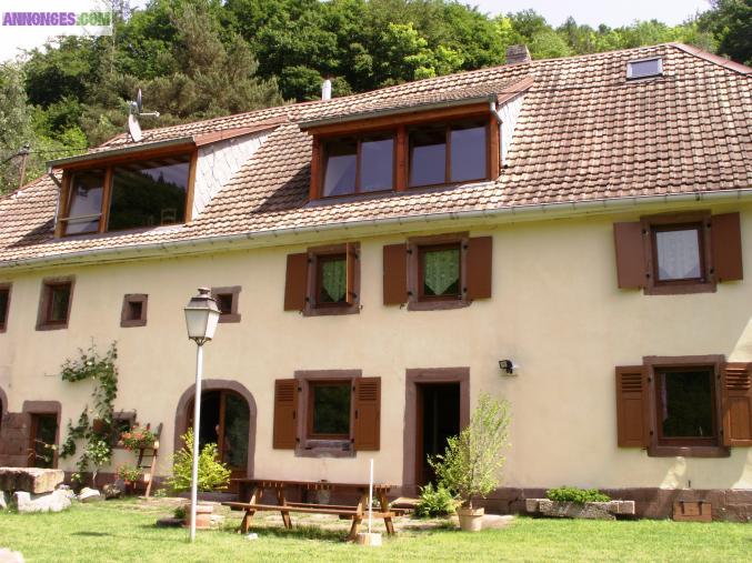 Magnifique ferme Vosgienne