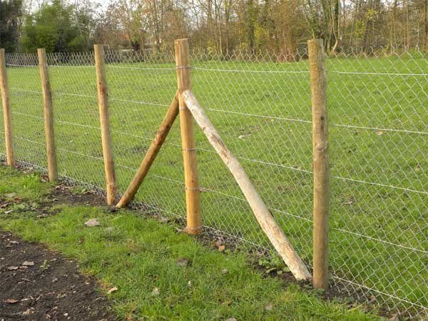 Service à la Personne - Jardinage -Bricolage