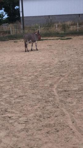 Retraités cherche maison