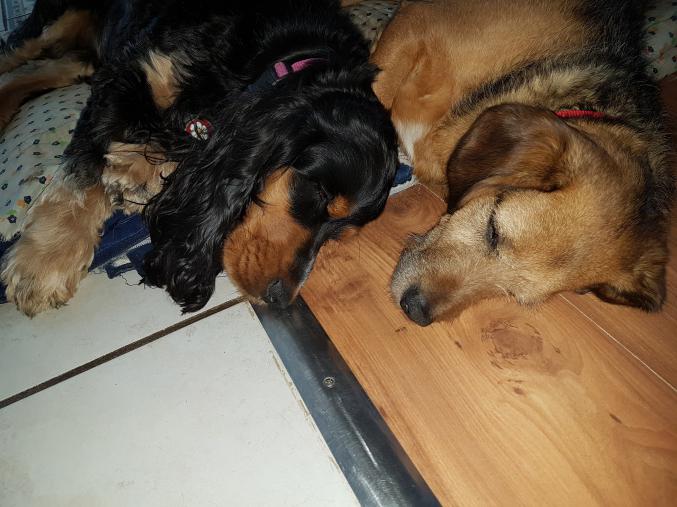 Maison location au mois