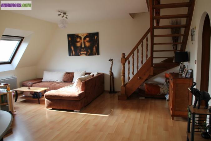 Appartement duplex 3/4 Pièces