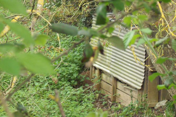 Terrain constructif + Etang + Potager