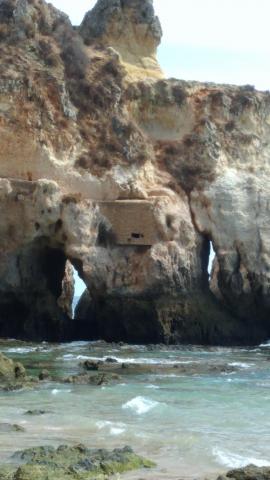 Location mobile homme