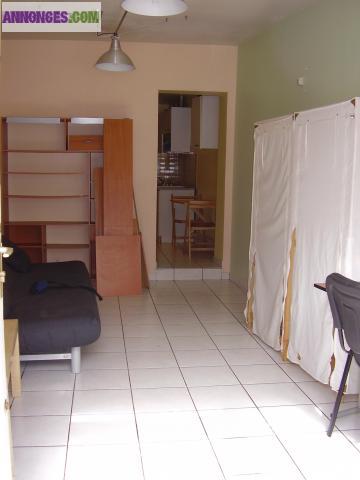 Meublé 28 m2 Nantes