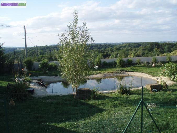 Maison sur les hauteurs de Septème