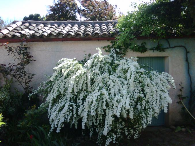 Sud Luberon, maison provençale traditionnelle  20mn d'AIX