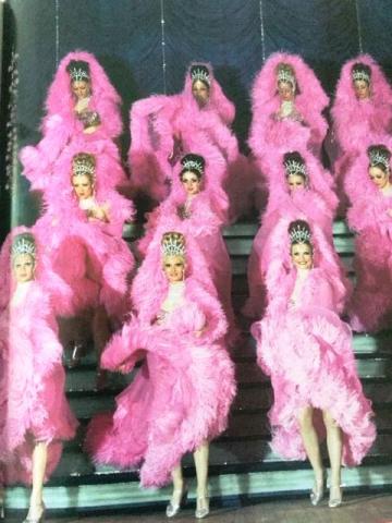 Livre sur le Moulin Rouge