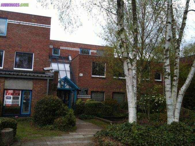 BUREAUX A LOUER RDC PARC DES MOULINS